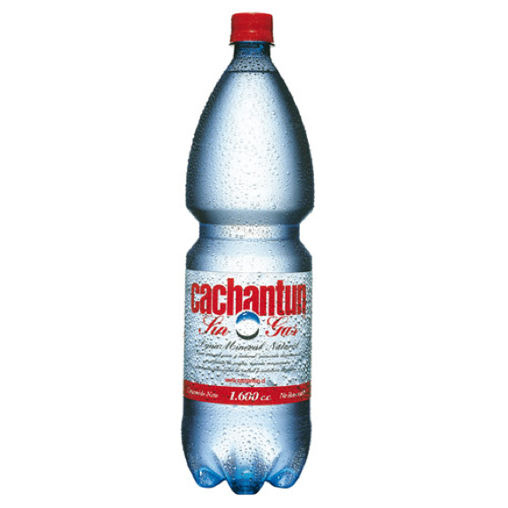 CACHANTUN SIN GAS 1.6 LT PET