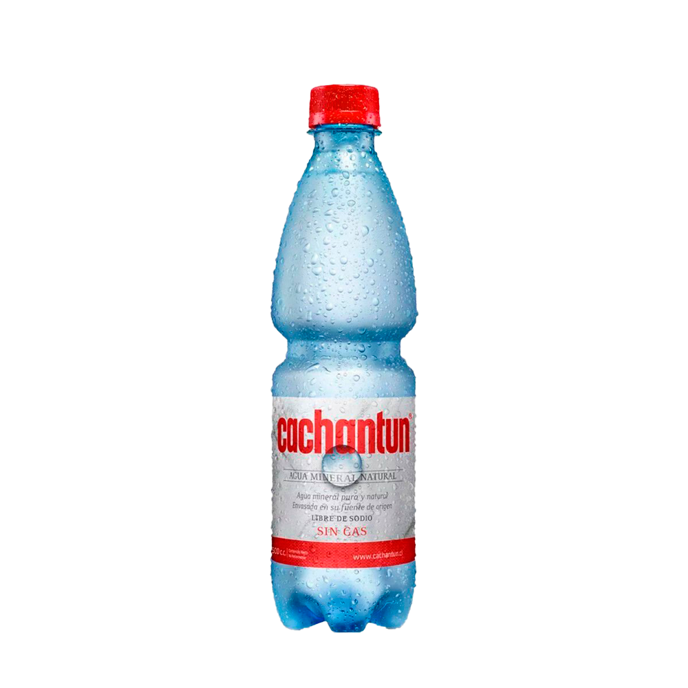 [U610-2] CACHANTUN SIN GAS 600cc PET