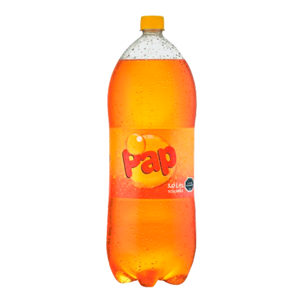 [U200-3] BEBIDA PAP 3LT PET